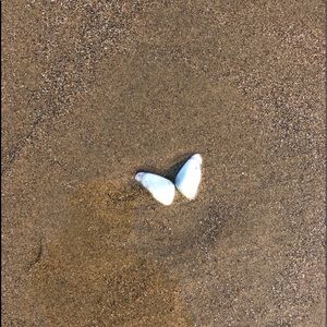 Meet your Posher, Diana